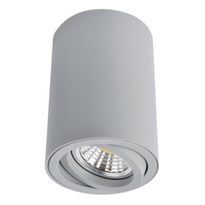 Точечные накладные светильники SENTRY Arte lamp A1560PL-1GY A1560PL-1GY