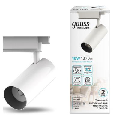 Трековые светильники TRACK LIGHT LED Gauss TR081_GAUSS TR081_GAUSS