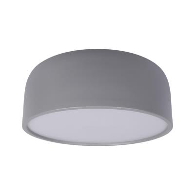 10201/350 Grey Потолочный светильник LOFT IT Axel 10201/350 Grey