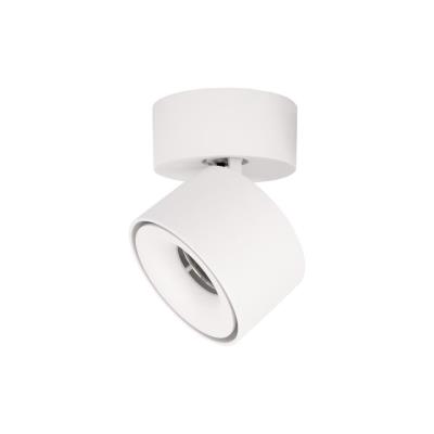 10323/A White Накладной светильник LOFT IT Focus 10323/A White