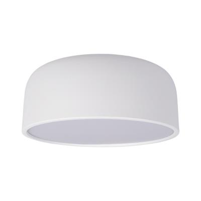 10201/350 White Потолочный светильник LOFT IT Axel 10201/350 White