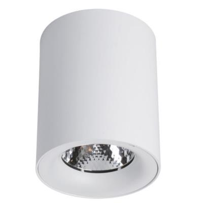Точечные накладные светильники FACILE Arte lamp A5112PL-1WH A5112PL-1WH