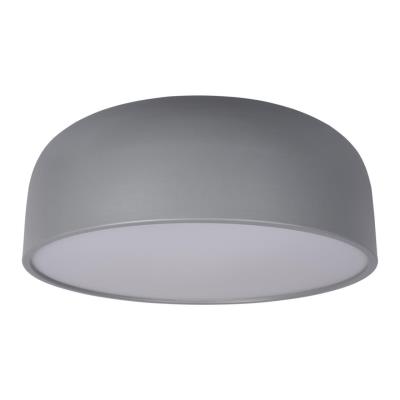 10201/480 Grey Потолочный светильник LOFT IT Axel 10201/480 Grey