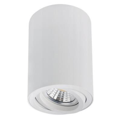 Точечные накладные светильники SENTRY Arte lamp A1566PL-1WH A1566PL-1WH