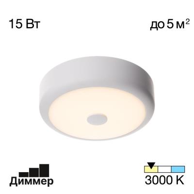 Светильник накладной Citilux Фостер CL706110 CL706110