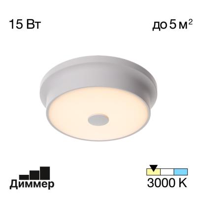 Светильник накладной Citilux Фостер CL706210 CL706210