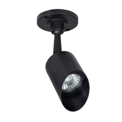 Уличные потолочные светильники ELSIE Arte lamp A1022AL-1BK A1022AL-1BK